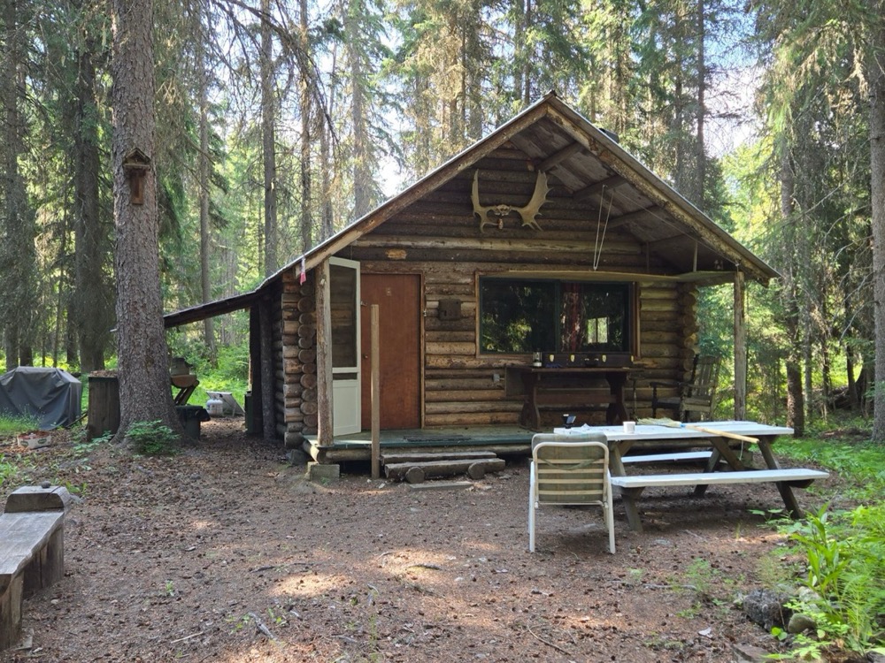 Log cabin rental surrounded by pine forest in the White Mountains
